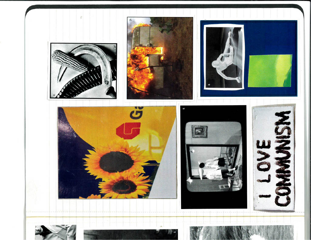 Collage 3
