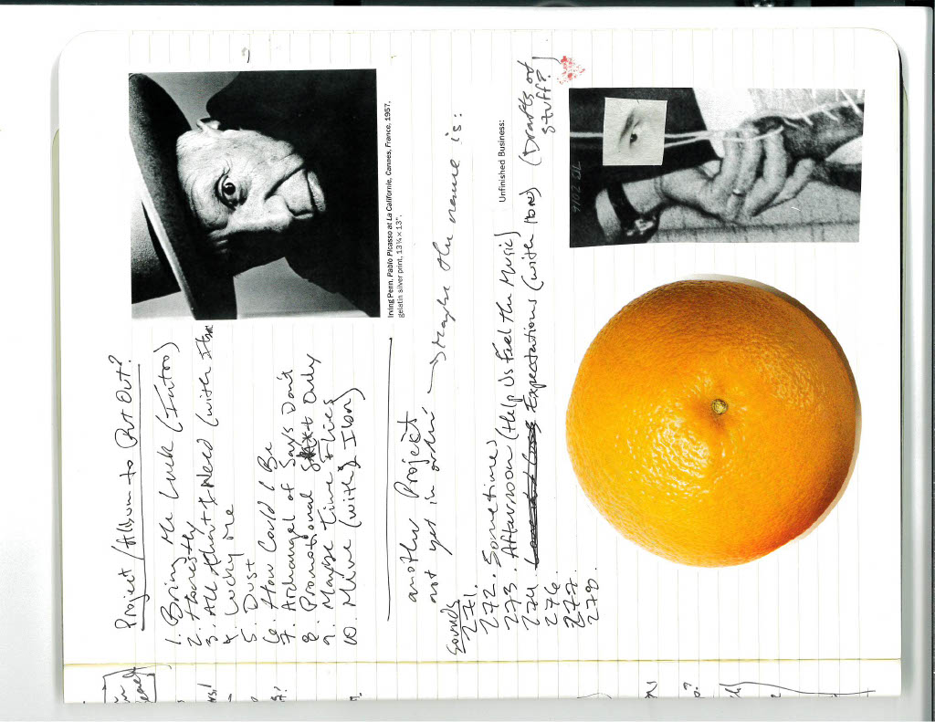 Collage 4
